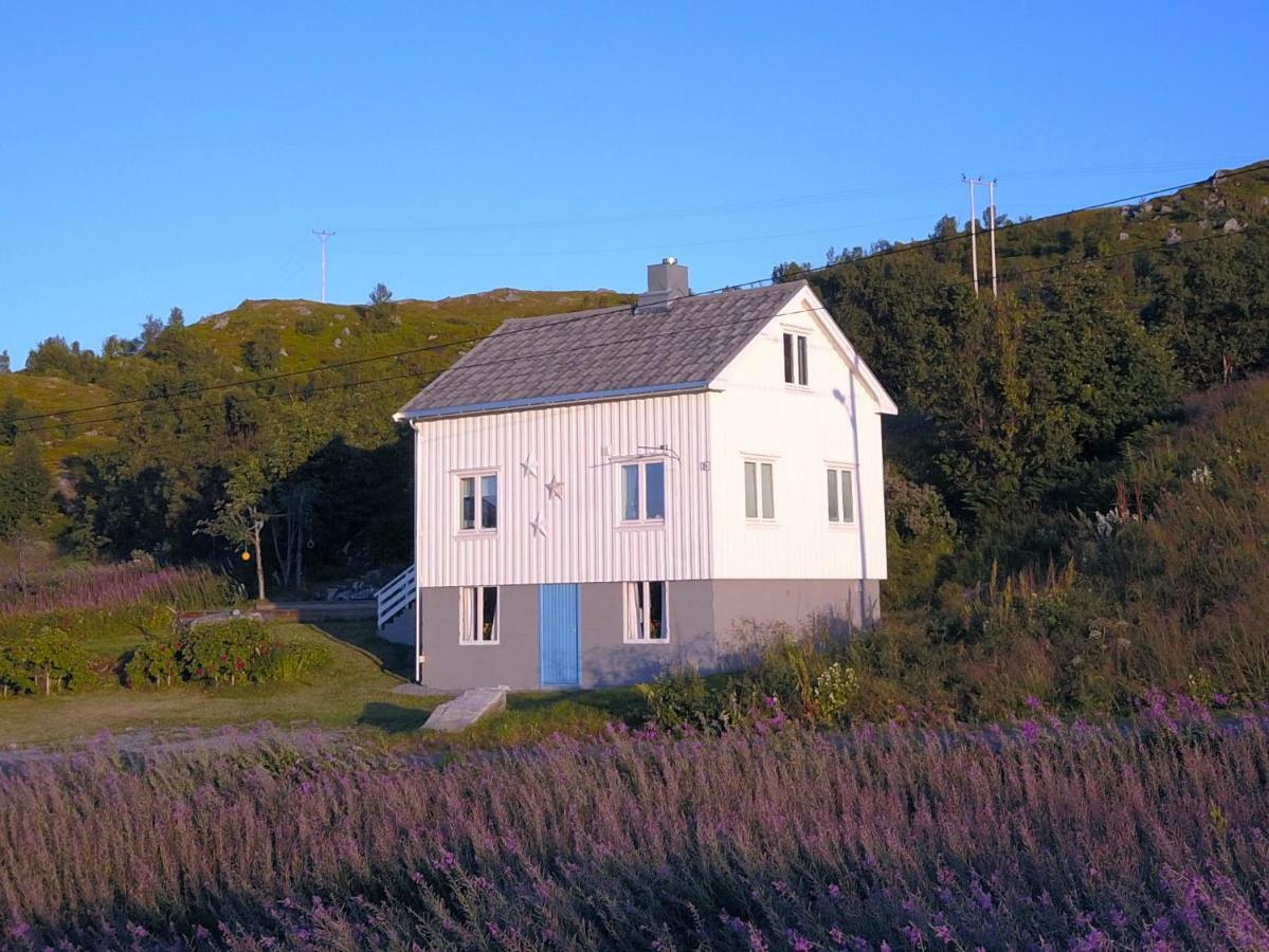 Steinbakk - Vestresand Lofoten Bostad Exterior photo